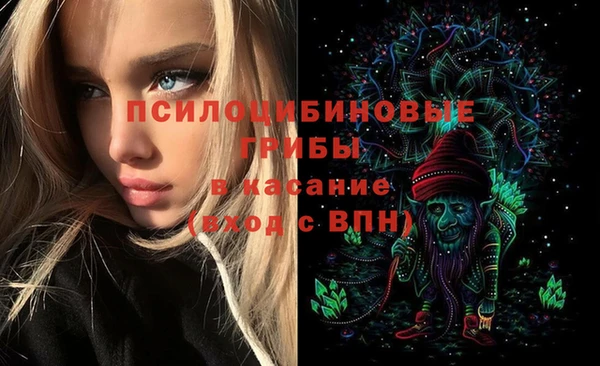 марки nbome Горняк