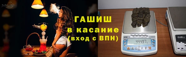 сатива Горно-Алтайск