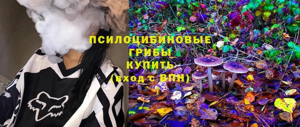 сатива Горно-Алтайск